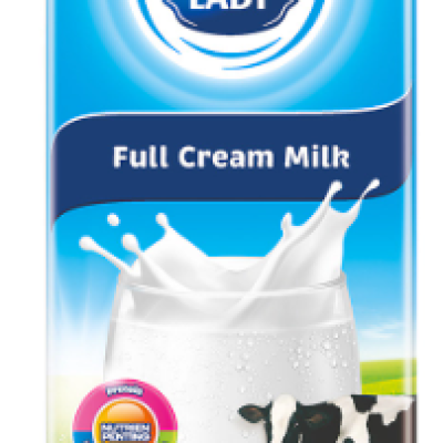 Dutch Lady Full Cream Milk